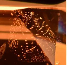 Fingerprint Inclusion