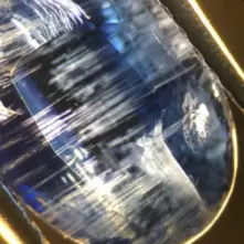 Needle Inclusion