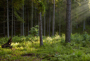 Baltic Sea region Baltic Sea region.