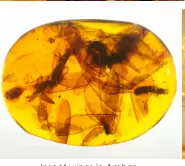 Organic Gem
