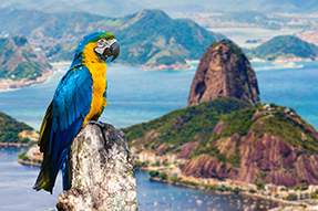 Bahia Brazil