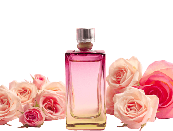 Fragrances Fragrances